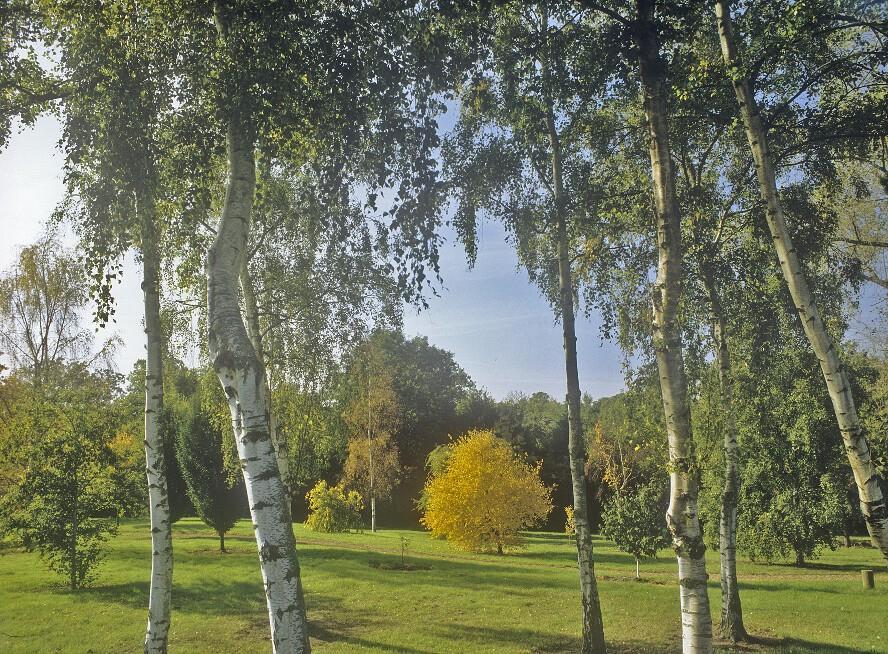West Lodge Park Barnet Eksteriør billede